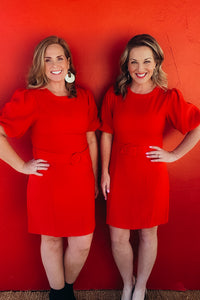 Dorothy Puff Sleeve Princess Line Sheath Dress