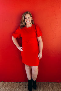 Dorothy Puff Sleeve Princess Line Sheath Dress